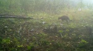 Bursa'da merdiven boşluğuna düşen çocuk ağır yaralandı