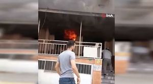 Bursa'da aç kalan domuz sürüsü şehre indi!