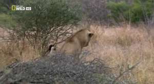 ŞEHİR TANITIMI BELGESEL - 1