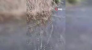 İstediği verilmeyince restorana tüfekle saldırdı: 1 ölü, 3 yaralı