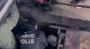 Dükkana giren yılan, esnafı sokağa fırlattı