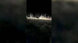 Zeugma Mozaik Müzesi'nde bayram rekoru