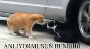 komik kısa video komikler videolar @ MEHMET ALİ ARSLAN Videos - Dailymotion video