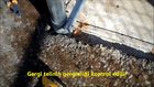 Beton Direkli Tel Çit Montajı Tel Örgü Montajı Nasıl Yapılır 0546 882 55 44 