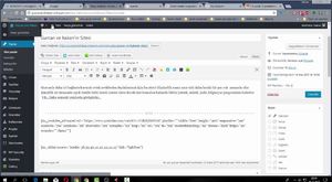 Eski Consept arabalar