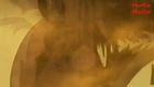 The Lion King 1994   Best Scenes 