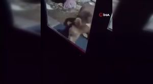 Meteoroloji'den Bursa açıklaması! (19 Ağustos 2021 Bursa'da hava durumu nasıl?)