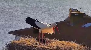 Bursa Uludağ'da sezonun bayram ve ara tatille zirvede kapanması bekleniyor