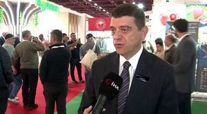 Hatay’da köprüden uçan tırın sürücüsü kayıplara karıştı!