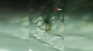 Başkan Bozbey, 'Yeniden Yeşil Bursa' için ilk adımı attı