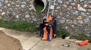 Ayı otomobilin önüne atladı, içindekilerin yüreği ağzına geldi