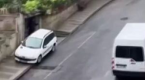 Zifte bulanan yavru köpeği kurtarıp, bakımını yaptılar