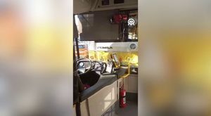 Ukrayna Devlet Başkanı Zelenskiy, Avusturya'da