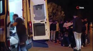 Bursa’da ölü yunus balığı kıyıya vurdu