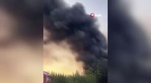 Mide bulandıran görüntüleri bakanlık paylaştı! 4 milyon değerinde bozuk kokoreç ele geçirildi