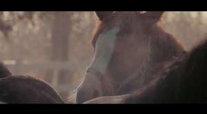 Koray Avcı - Hoş Geldin (Official Video) 