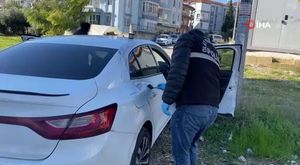 Uludağ'da kış uykusuna yatamayan ayılar yemek aramaya çıktı