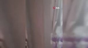 Bursa'da hasat yapmaktan vazgeçen çiftçi patatesleri ücretsiz dağıttı