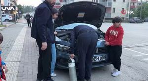 Trafik levhalarında anne sözleri: Yeni sildim oraları