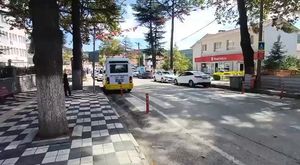 Bursa siyahı zirai dondan etkilenmedi