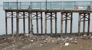 Bursa'da cinnet getiren ağabey, kardeşini ilaçlarını düzenli kullanmadığı için öldürmüş!