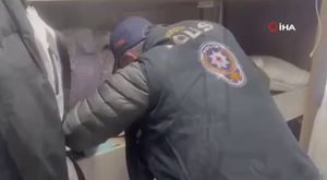 Can dostlara modern yeni yuva