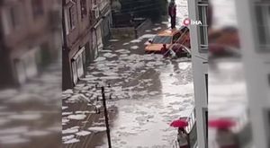 Bursa'da dört dana şehri birbirine kattı