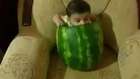 Funny Baby Videos - Baby Eating Watermelon 