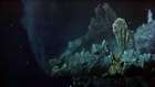 Hidrotermal Bacalar Canlı Yaşamı