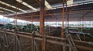 Constraction&Electrical; Materials,catalog-video