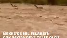 Mekke'de sel felaketi