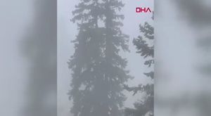 Bursa otogarında HES denetimi!