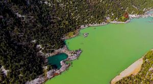 Bursa'da evde korkutan yangın