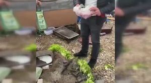 Tayland'da havai fişek festivali, karanlığı renklendirdi