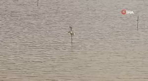 Bursa'da hafriyat kamyonu, otomobili böyle savurdu: 4 yaralı