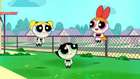 Powerpuff Girls Türkçe | Panda Allegro Filmin Tamamı - Tam Bölüm | Cartoon Network 