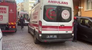 Bursa'da zehir akan derede toplu balık ölümü yaşanıyor