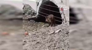 Bursa'da kadınlar matinede mendil yerine maske salladı