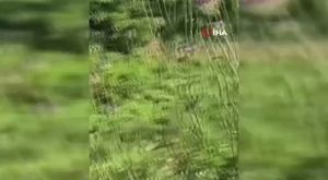 'Satmıyoruz, kullanıyoruz' diyen 2 torbacı tutuklandı