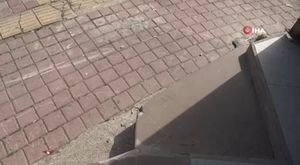 Bursa'da denizden çıkanlar görenleri şaşırttı