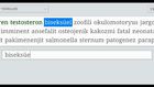 M5 Bilişim Klavye Hız Testi (Tıp Terimleri)