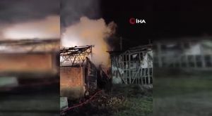 Bursa'da Müşküle üzümünde hasat heyecanı! Bizans'tan Osmanlı'ya...