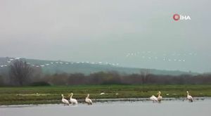 17 gündür kayıp olan 16 yaşındaki kızını bulmak için sokak sokak dolaşıyor