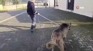 Bursa İnegöl'de bin 225 şahıs sorgulandı