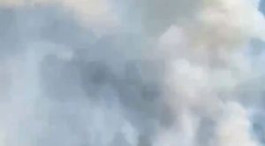 Kocaeli Belediyesi, Babalar Günü’nü unutulmaz bir video ile kutladı