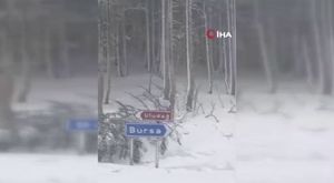 Bursa merkezli 8 ilde Mahzen-36’ operasyonları! Elebaşılığını Semed Ötünç’ün yaptığı organize suç örgütü çökertildi