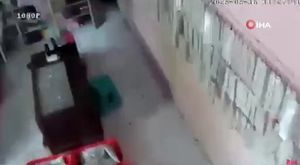 'Ege ile Gaga' gerçek oldu