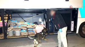 Bursa'nın en işlek caddesi 2 saat çocuklara kaldı