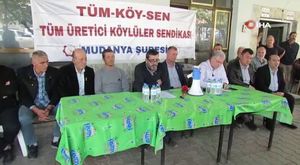 Dehşet anları! 6 başıboş köpek, çocuğa böyle saldırdı