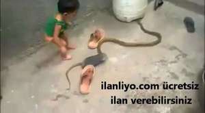 Yılanla Oynayan Çocuk
